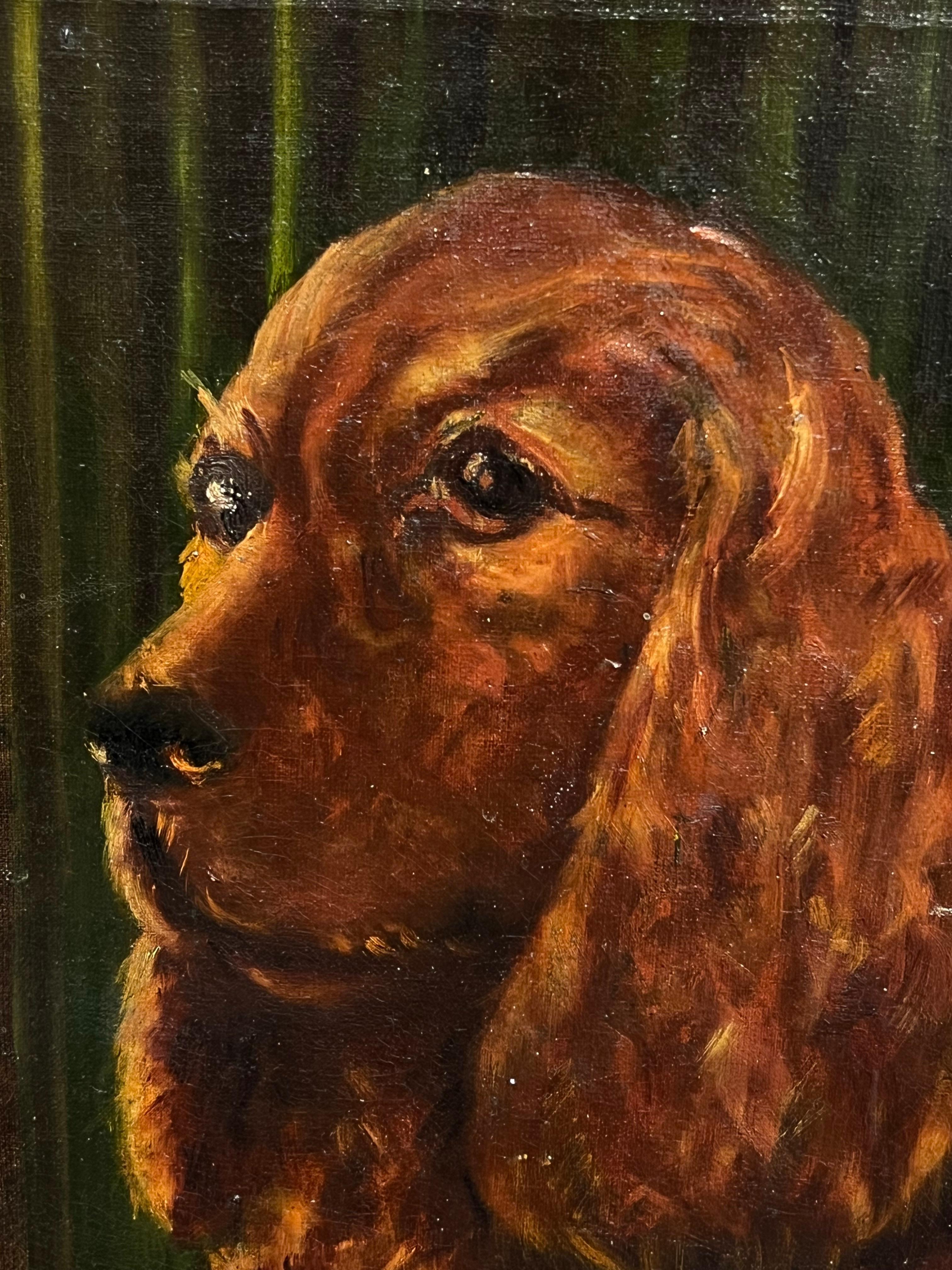 Ritratto del 20° secolo di un cane Setter rosso/ Spaniel dipinto ad olio in vendita 1
