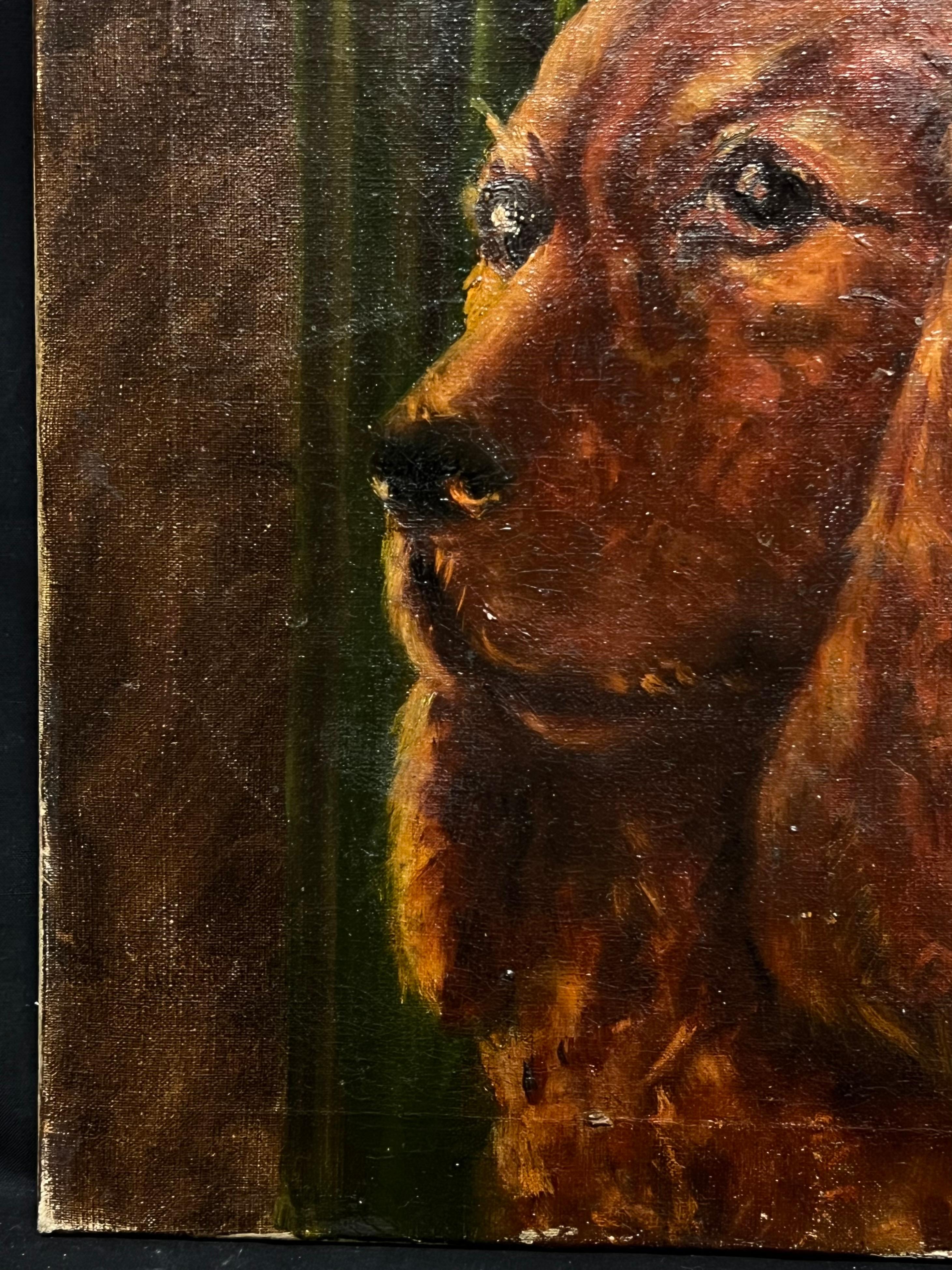 Ritratto del 20° secolo di un cane Setter rosso/ Spaniel dipinto ad olio in vendita 2