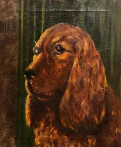 Siglo XX Retrato al óleo de un perro Setter rojo/ Spaniel