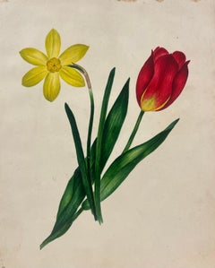 Botanical Watercolour Painting of a Red Tulip and Yellow Daffodil Green Leaves