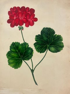 Botanical Watercolour Painting of a Vibrant Red Geranium with Green Leaves