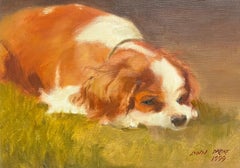 Cavalier King Charles Spaniel Resting Peacefully on a Grassy Surface English Oil