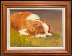 Cavalier King Charles Spaniel Resting Peacefully on a Grassy Surface English Oil