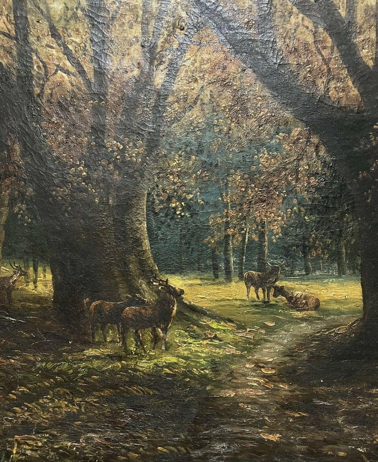 Antique English Oil Painting Stag & Deer in Beech Woods at Dusk, Signed Large 2