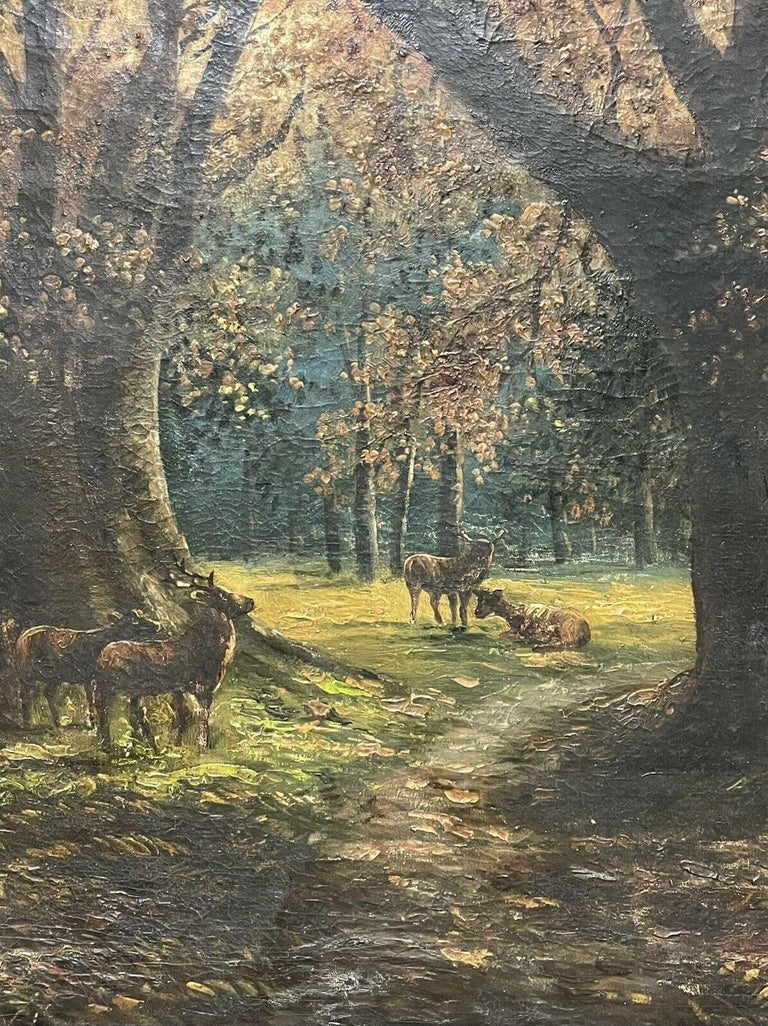 Antique English Oil Painting Stag & Deer in Beech Woods at Dusk, Signed Large 3