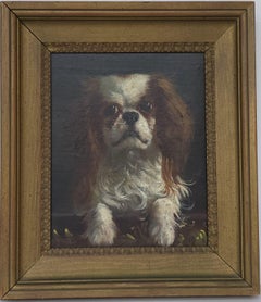 King Charles Spaniel