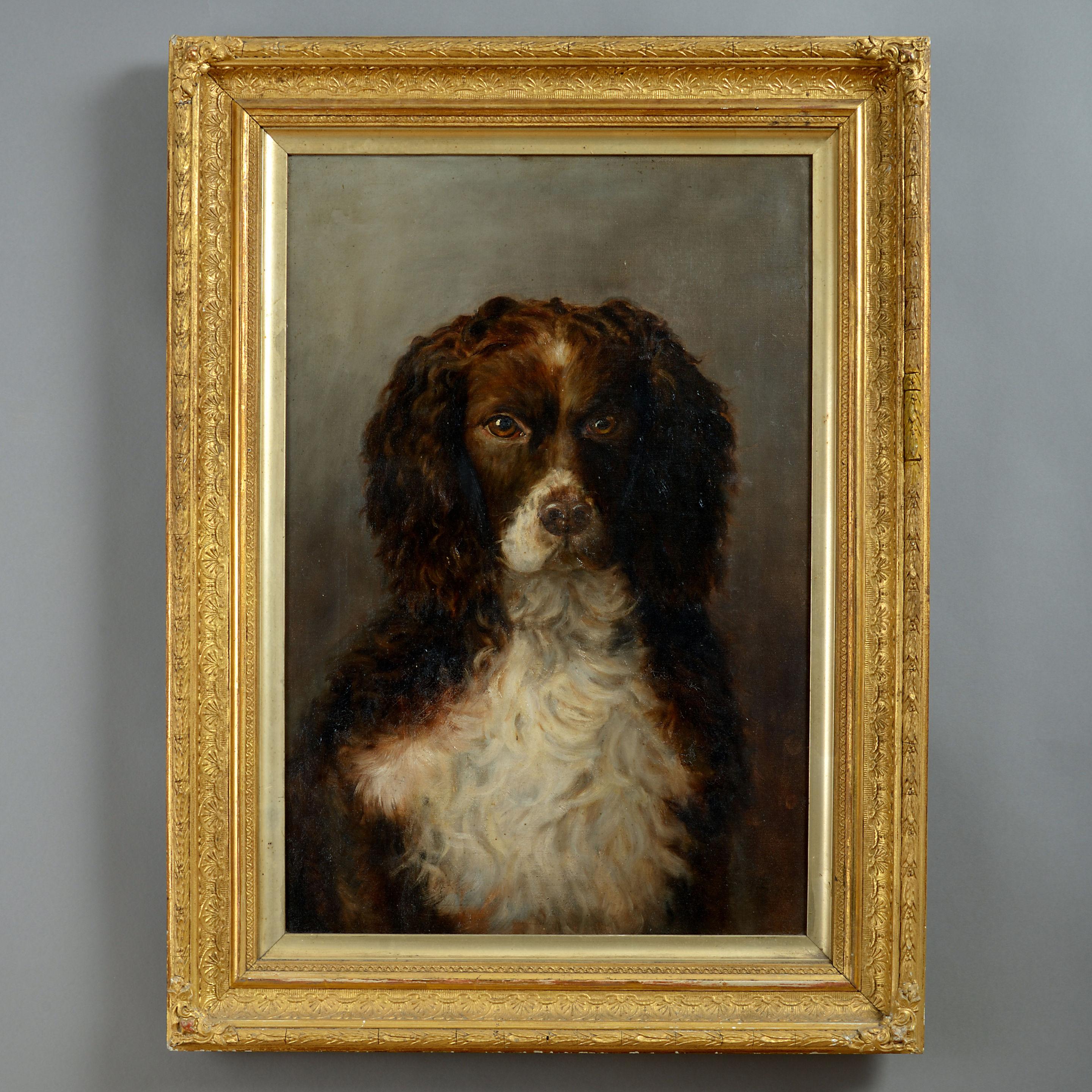 A charming early 20th century portrait of a cocker spaniel. Held in a rectangular gilt composition frame. 

Inscribed verso: 'Dash' 1903