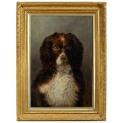 English School - Portrait of a Cocker Spaniel