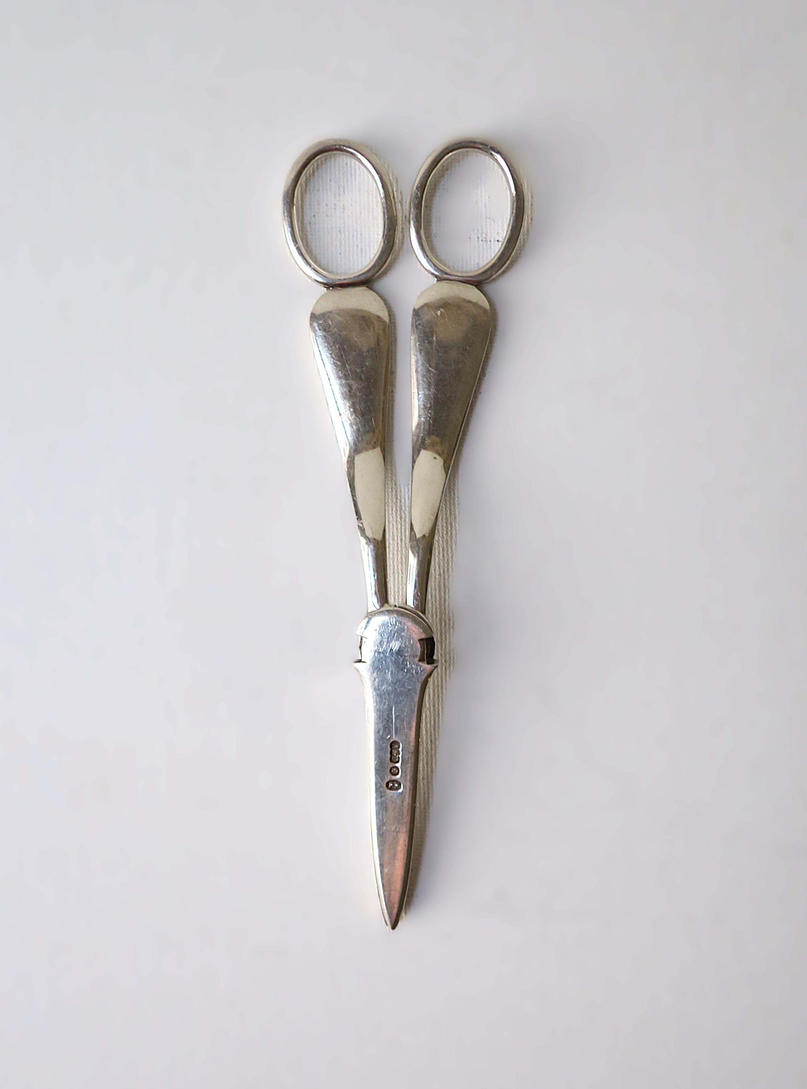 Tijeras inglesas en venta 3