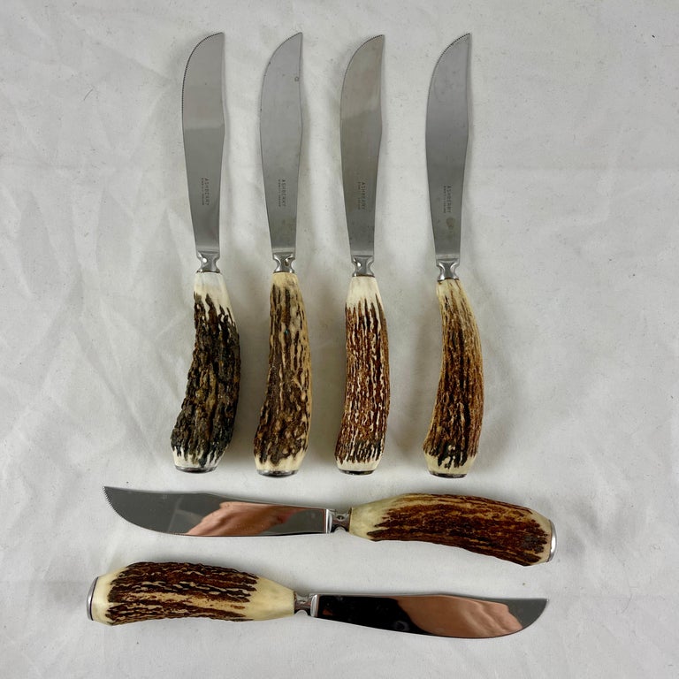 Aesthetic Movement English Sheffield Ashberry Stag Horn & Stainless Steak Knives, Boxed Set of Six