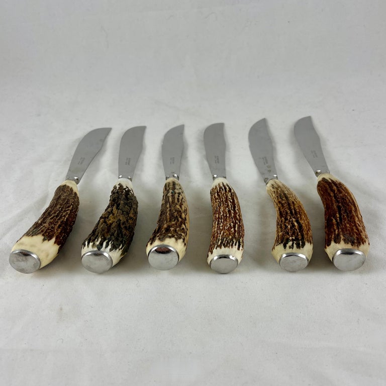English Sheffield Ashberry Stag Horn and Stainless Steak Knives, Boxed