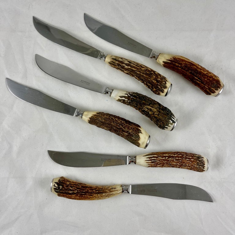 20th Century English Sheffield Ashberry Stag Horn & Stainless Steak Knives, Boxed Set of Six