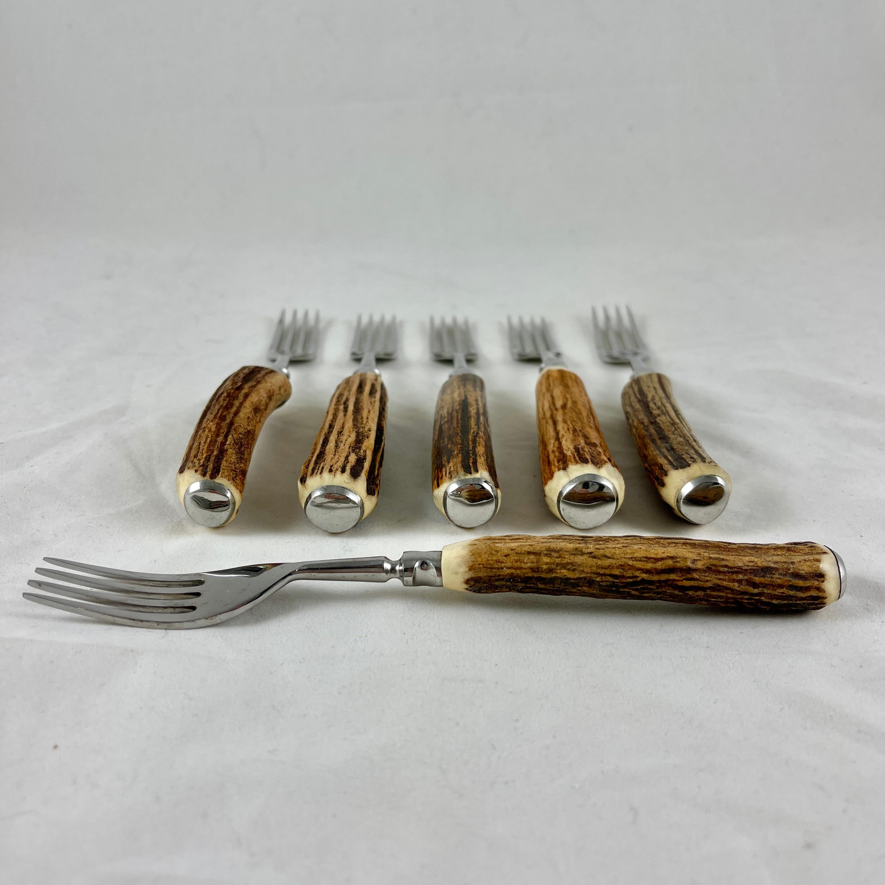 English Sheffield Ashberry Stag Horn & Stainless Steel Forks, Boxed Set of Six 1