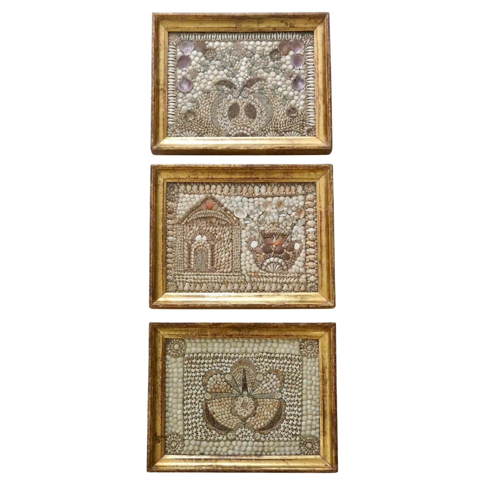 Cuadros ingleses de concha en marcos originales de madera dorada, juego de tres, hacia 1840