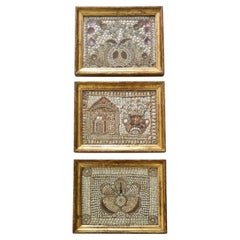 Tableaux anglais en coquillage dans des cadres originaux en bois doré, ensemble de trois, vers 1840