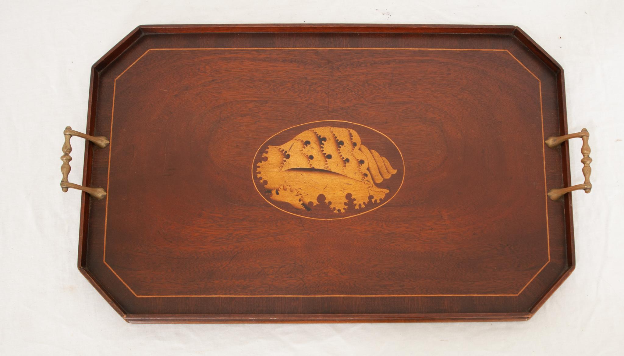A stunning English Sheraton Revival mahogany tray with an inset raised gallery, canted corners, and green felt backing. It retains its original stoutly mounted brass handles and features a superb inlaid marquetry decorated center of an conch shell.