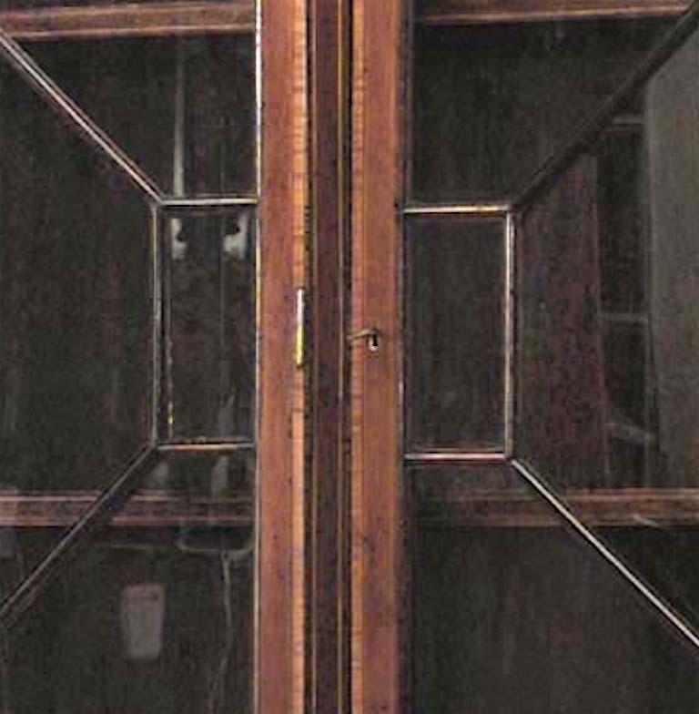 Breakfront-Schrank aus Sheraton-Mahagoni und Seidenholz (19. Jahrhundert) im Angebot