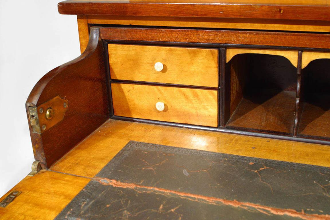 19th Century English Sheraton Satinwood Secretary For Sale