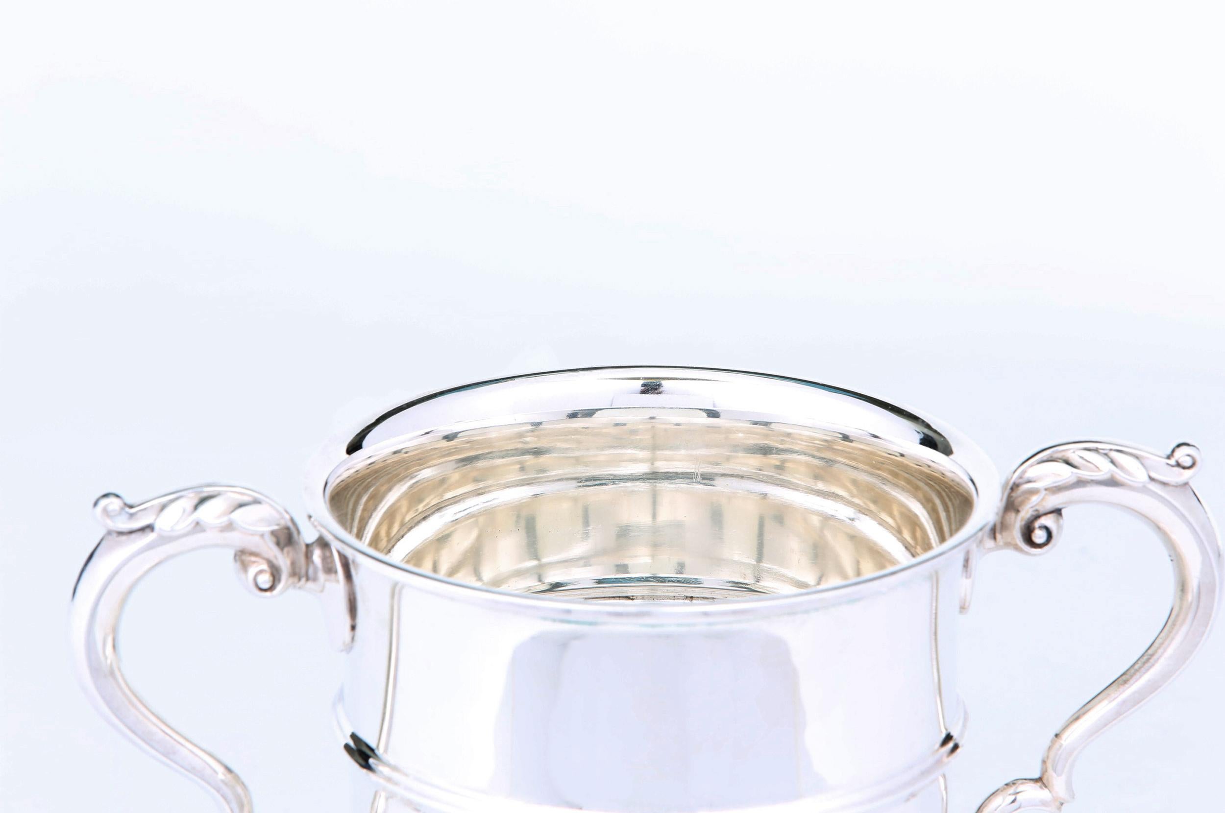 20th Century English Silver Plated Barware / Tableware Ice Bucket For Sale
