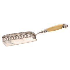 English Silver Plated Crumb Catcher
