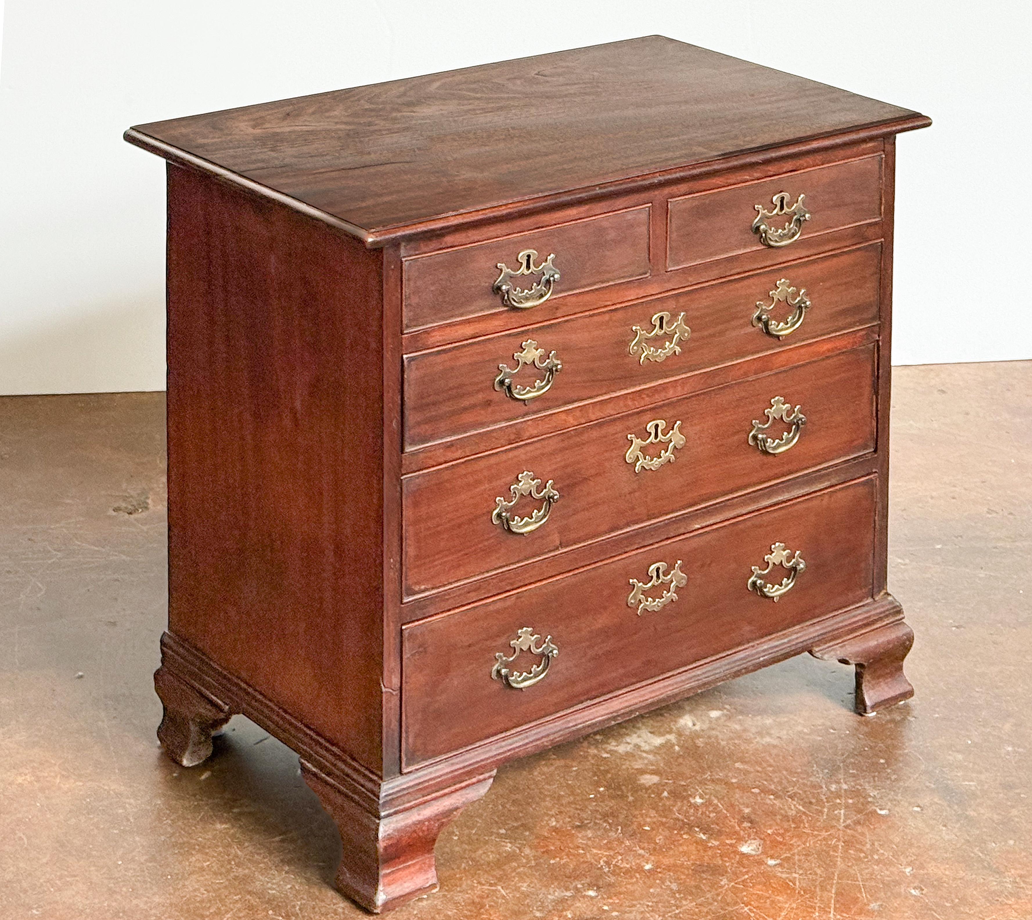 Pregevole cassettone inglese in rovere patinato del XIX secolo, in stile georgiano, caratterizzato da un piano sagomato su un fregio di due cassetti corti perlinati e tre cassetti lunghi graduati perlinati, ogni cassetto con tiretti in ottone e