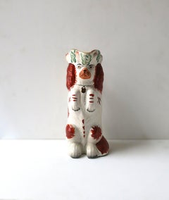 English Spaniel Dog Pitcher
