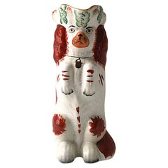 English Spaniel Dog Pitcher