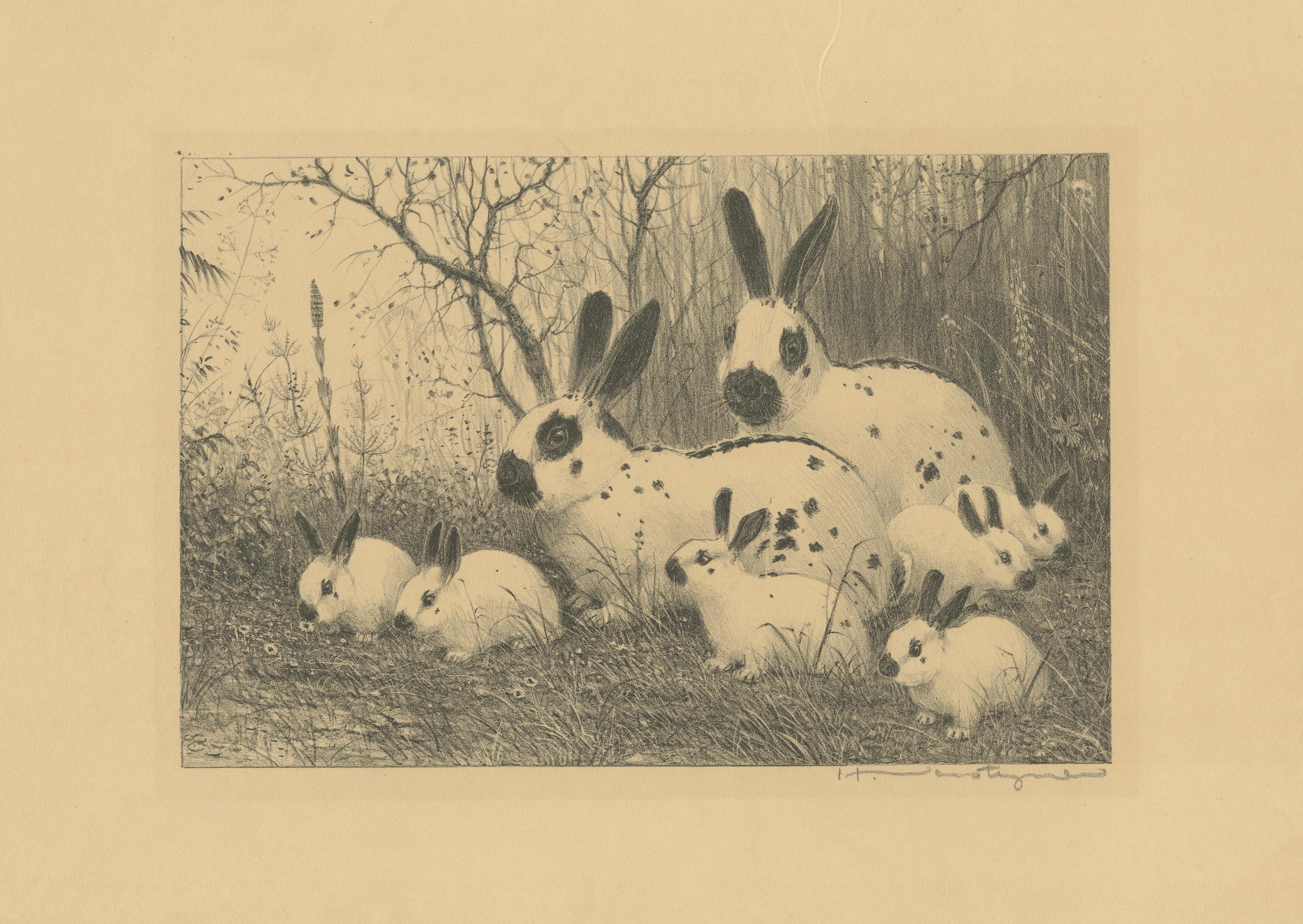 English Spot Rabbits – Wildlife Lithograph by Henri Verstijnen, c.1925