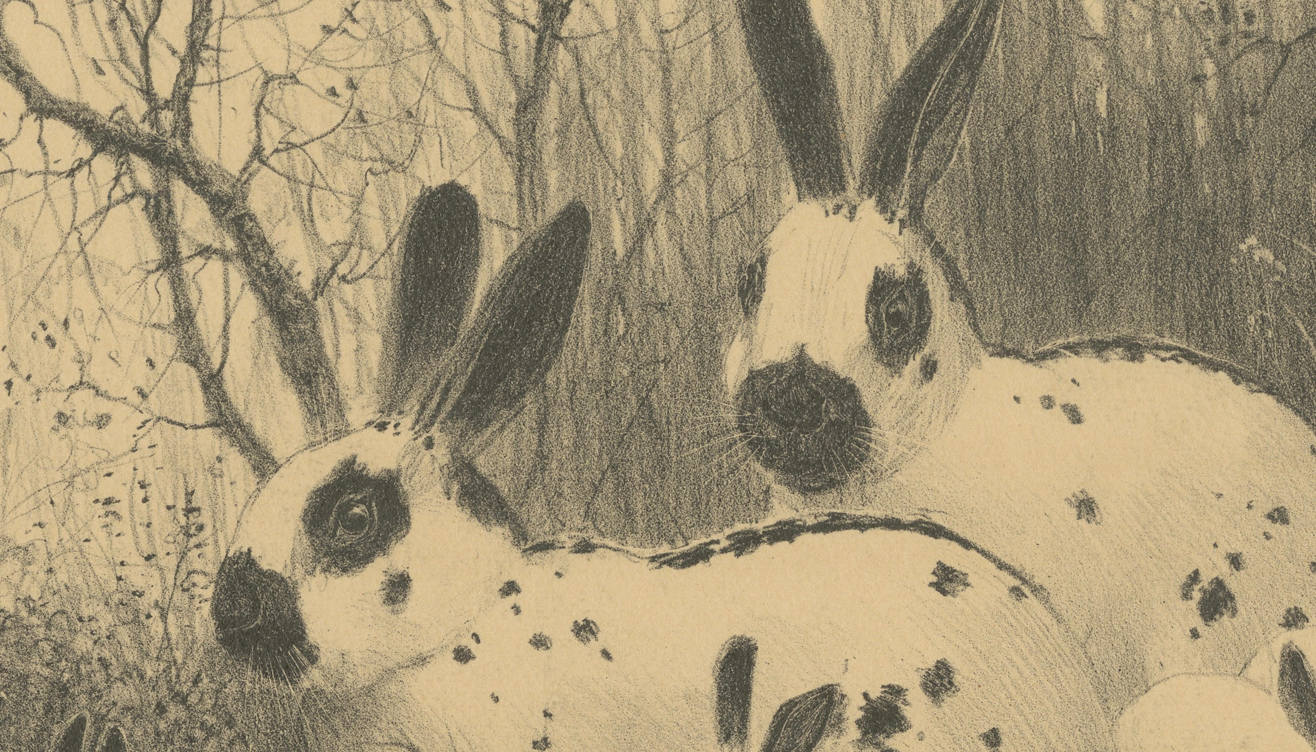 English Spot Rabbits – Wildlife Lithograph by Henri Verstijnen, c.1925