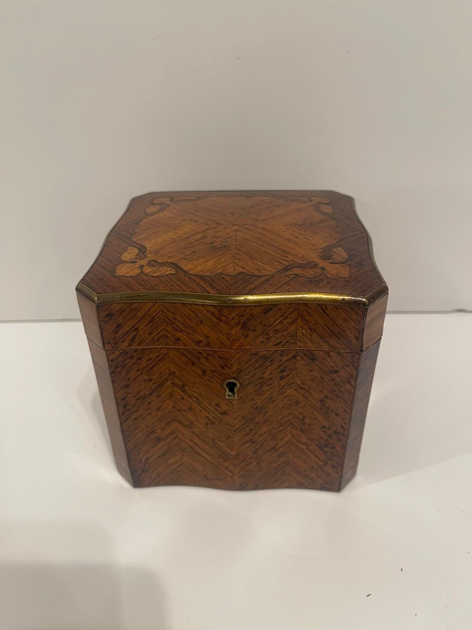 English Square Burl Tea Caddy with Brass Stringing and Interior Lid, 19th Century