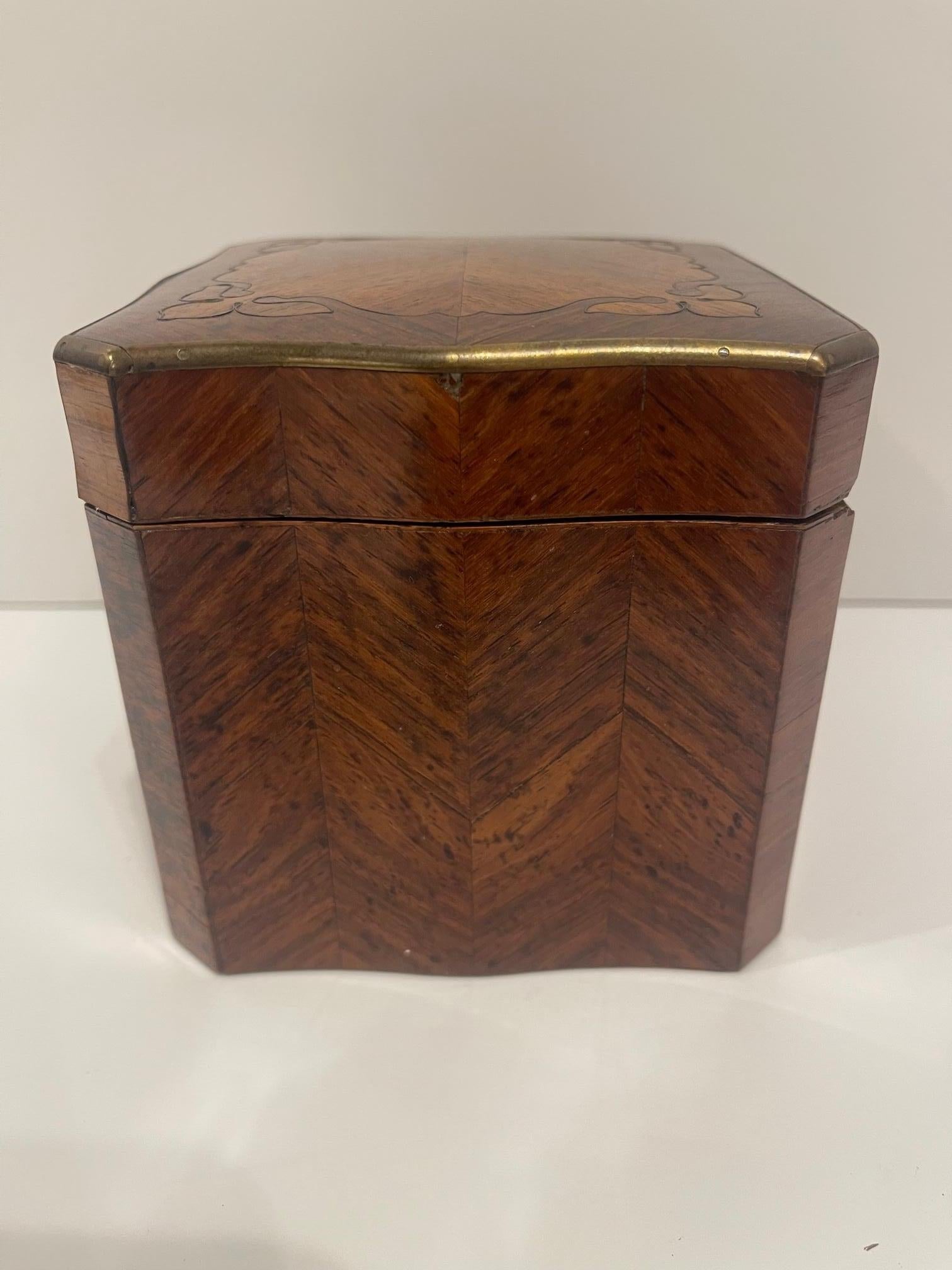 English Square Burl Tea Caddy Brass Stringing and Interior Lid, 19th Century For Sale 1
