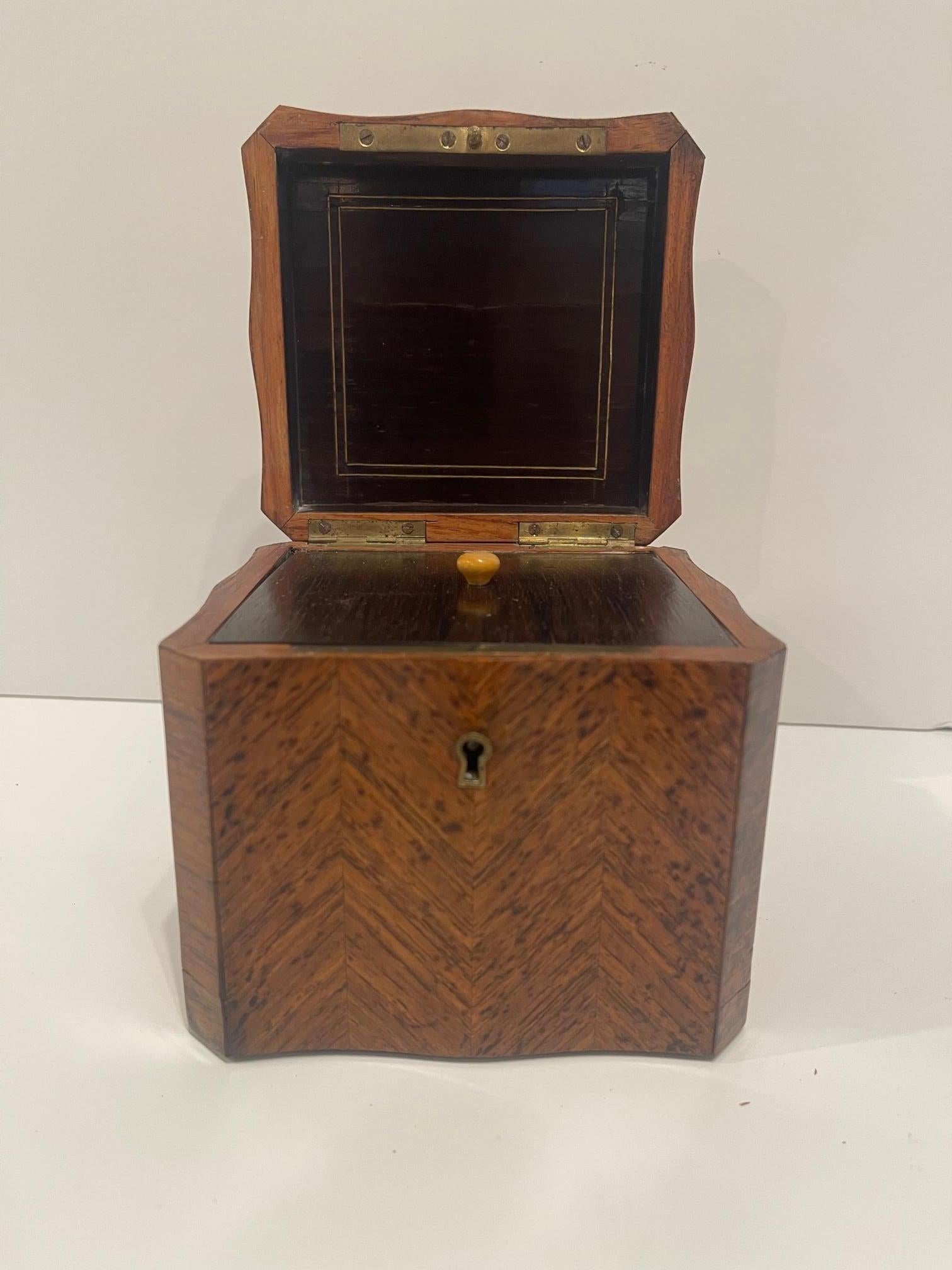 Caddy à thé carré en ronce de laiton avec couvercle intérieur en laiton, 19ème siècle en vente 1