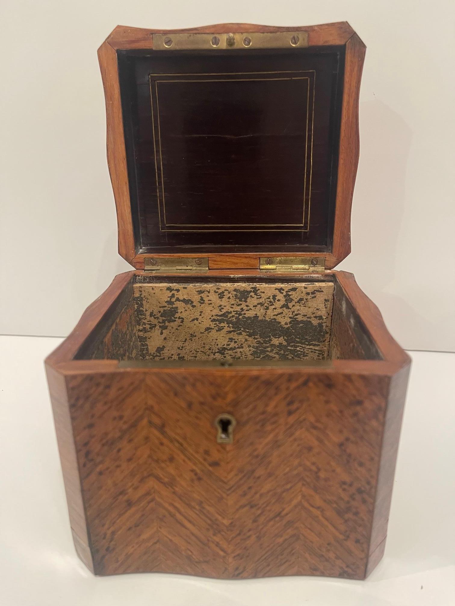 English Square Burl Tea Caddy Brass Stringing and Interior Lid, 19th Century For Sale 5