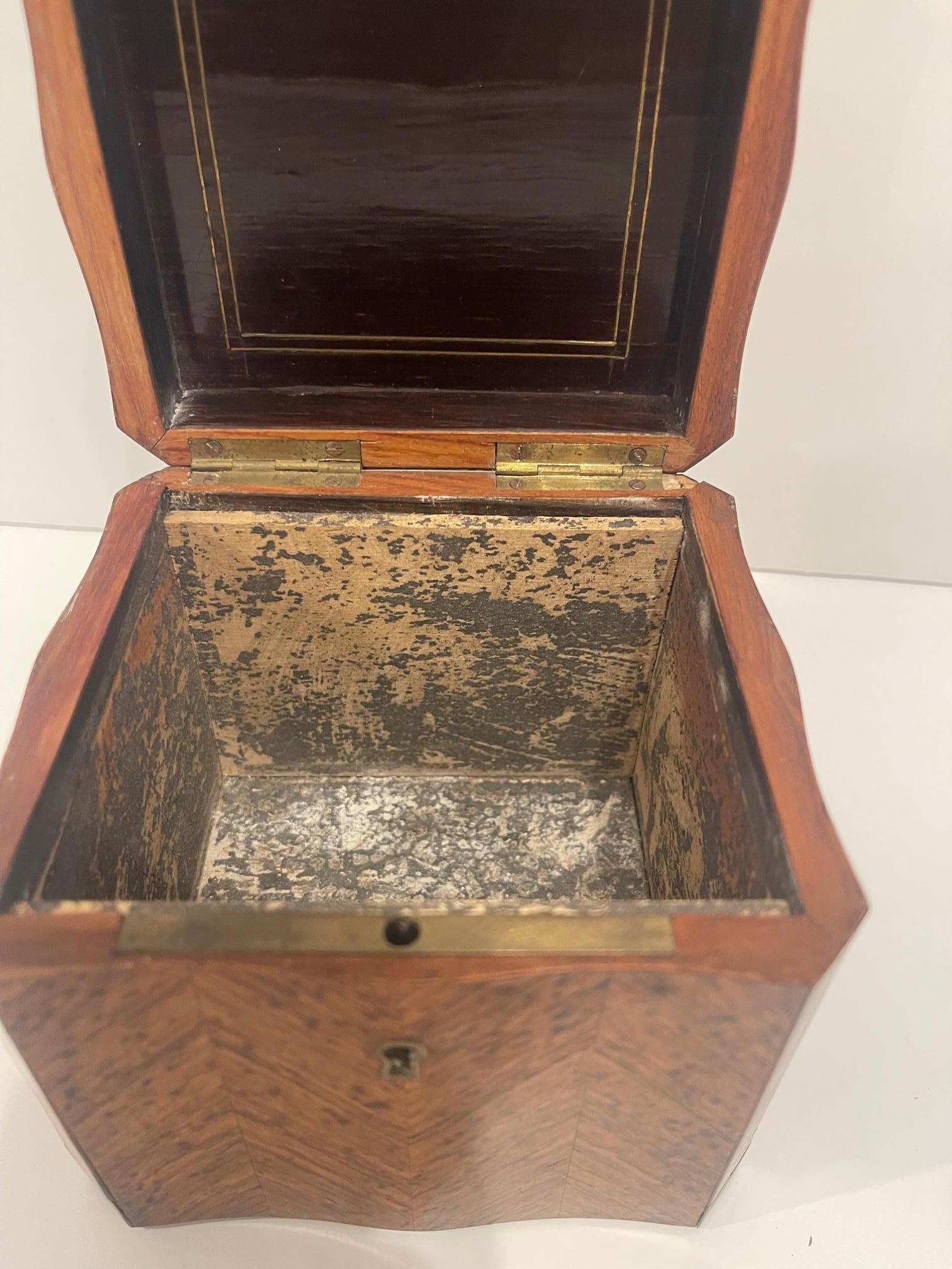 English Square Burl Tea Caddy Brass Stringing and Interior Lid, 19th Century For Sale 6