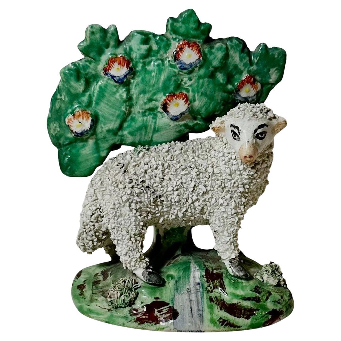 Pecora inglese Staffordshire in vendita