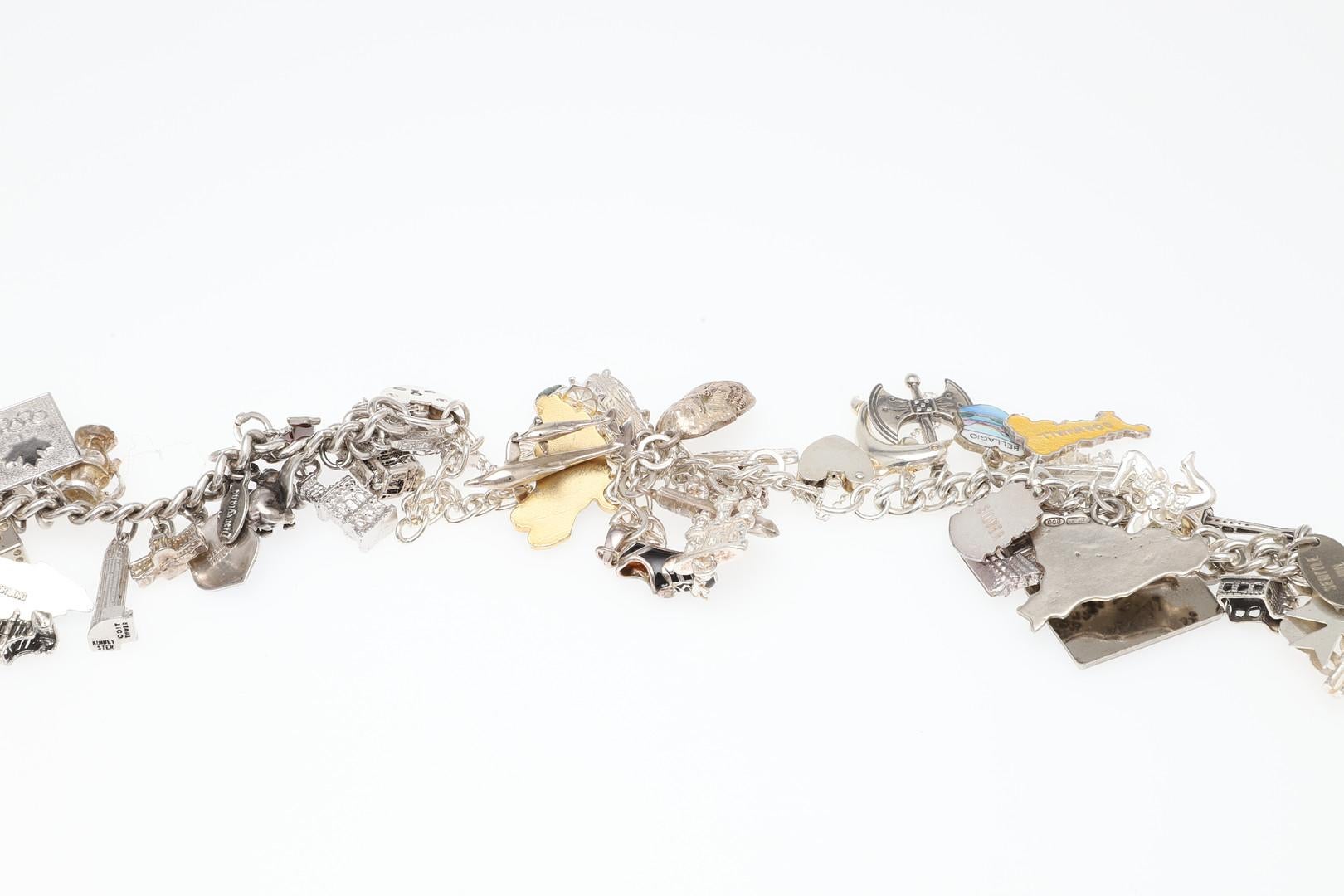 Collar inglés de plata de ley con colgante Cadena larga antigua para el cuello, década de 1860 en venta 6