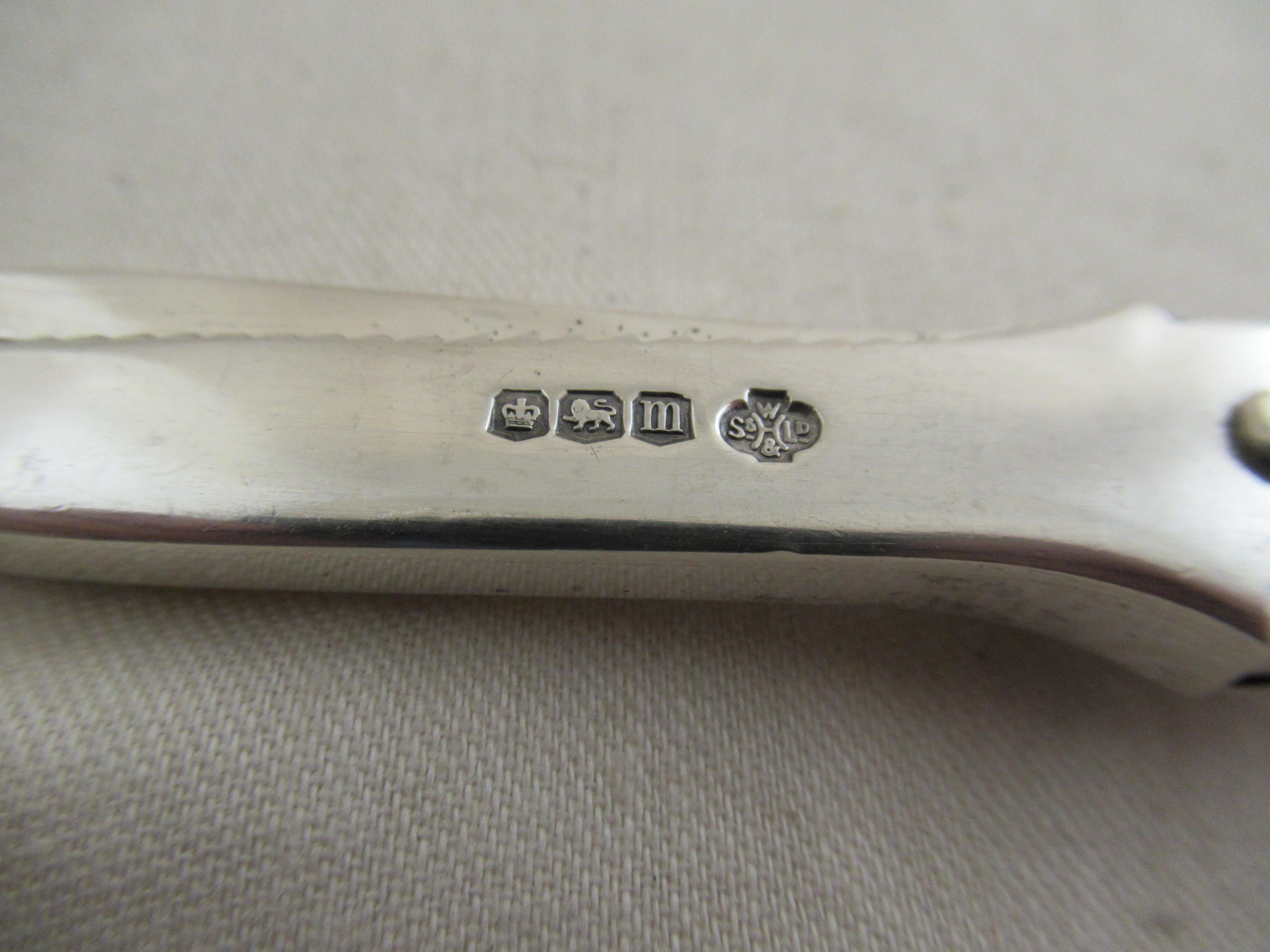 English Sterling Silver GRAPE SHEARS or SCISSORS  Marked:-Sheffield 1904 In Excellent Condition For Sale In York, GB