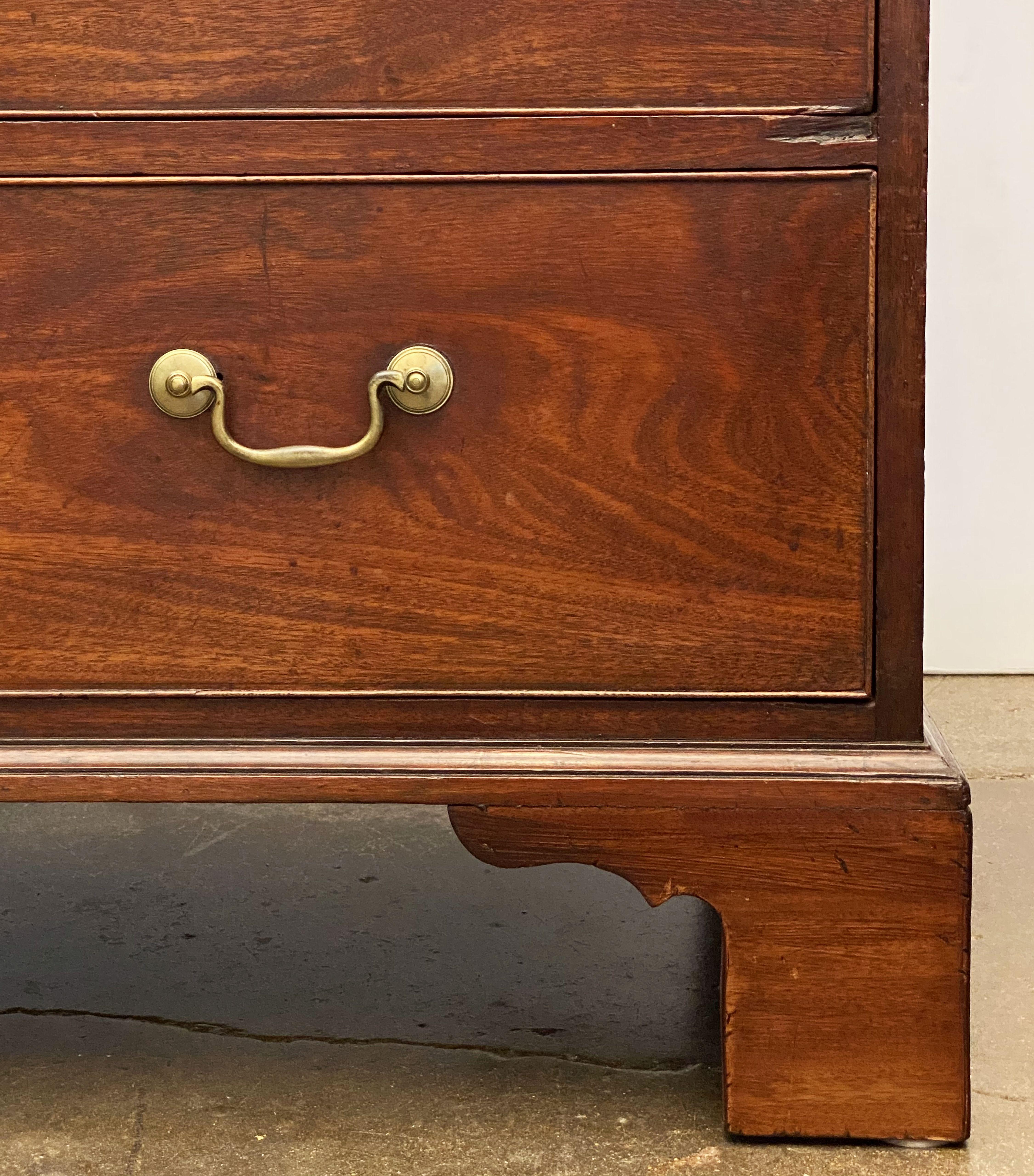 English Tall Chest or High Chest of Drawers from the Georgian Era 11
