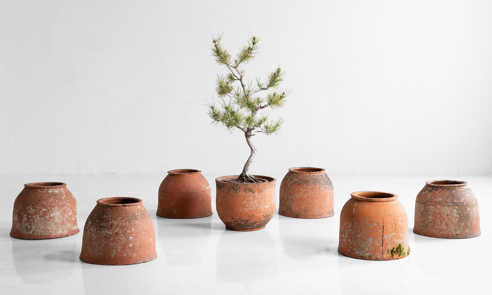 *Please note the price is per unit, and the pieces are sold individually*

English Terracotta Forcers

England Circa 1930

Planters with natural weathered patina.

Measures: 17” diameter ( bottom ) x 14” height.