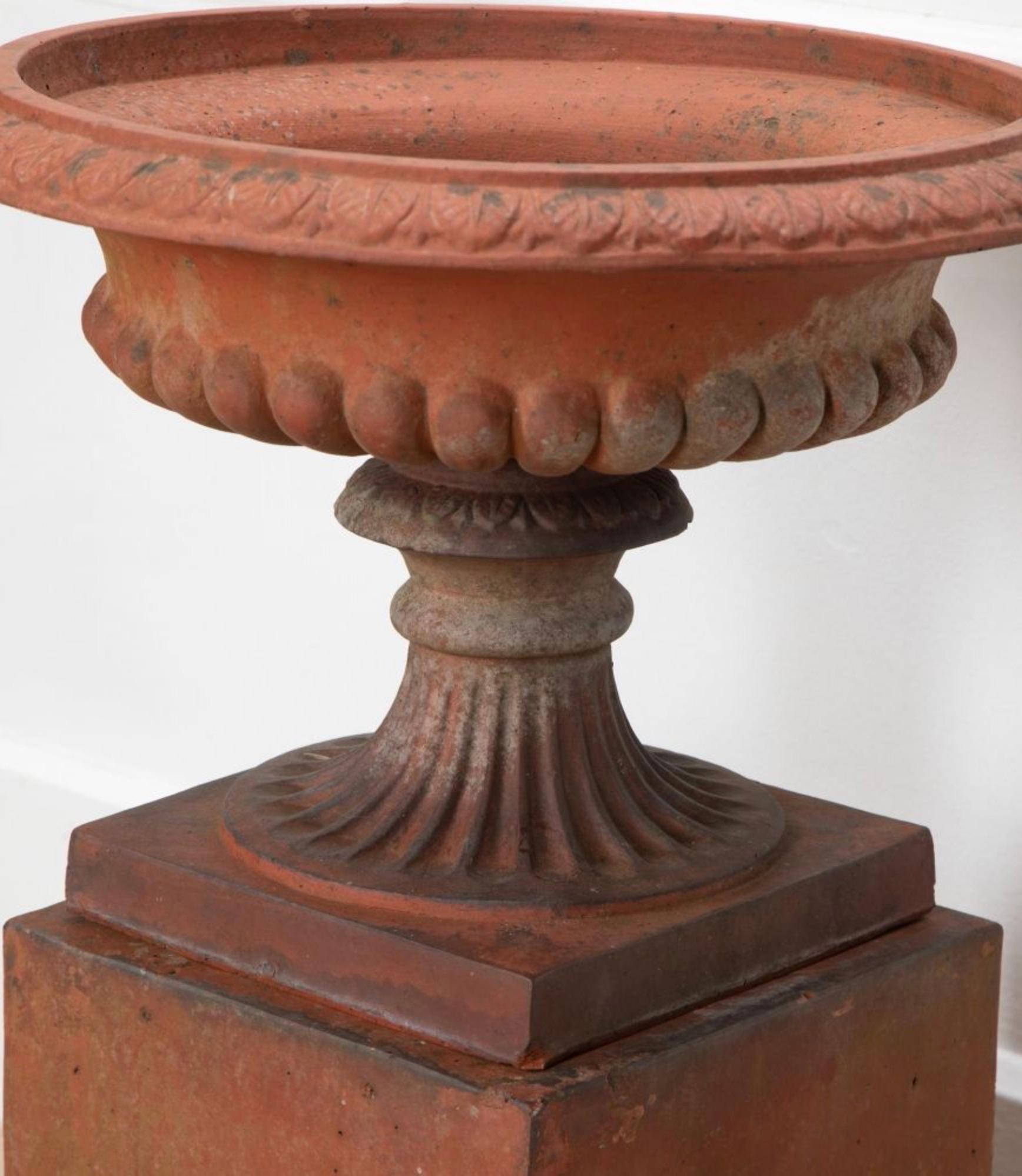 Terre cuite Urne tazza anglaise en terre cuite sur socle en vente