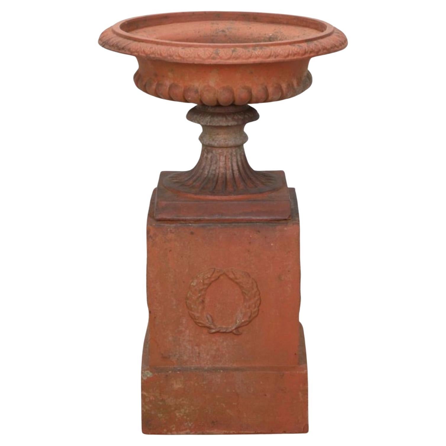 Urna inglesa de terracota Tazza sobre base de zócalo