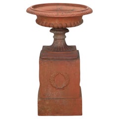 Urna inglesa de terracota Tazza sobre base de zócalo