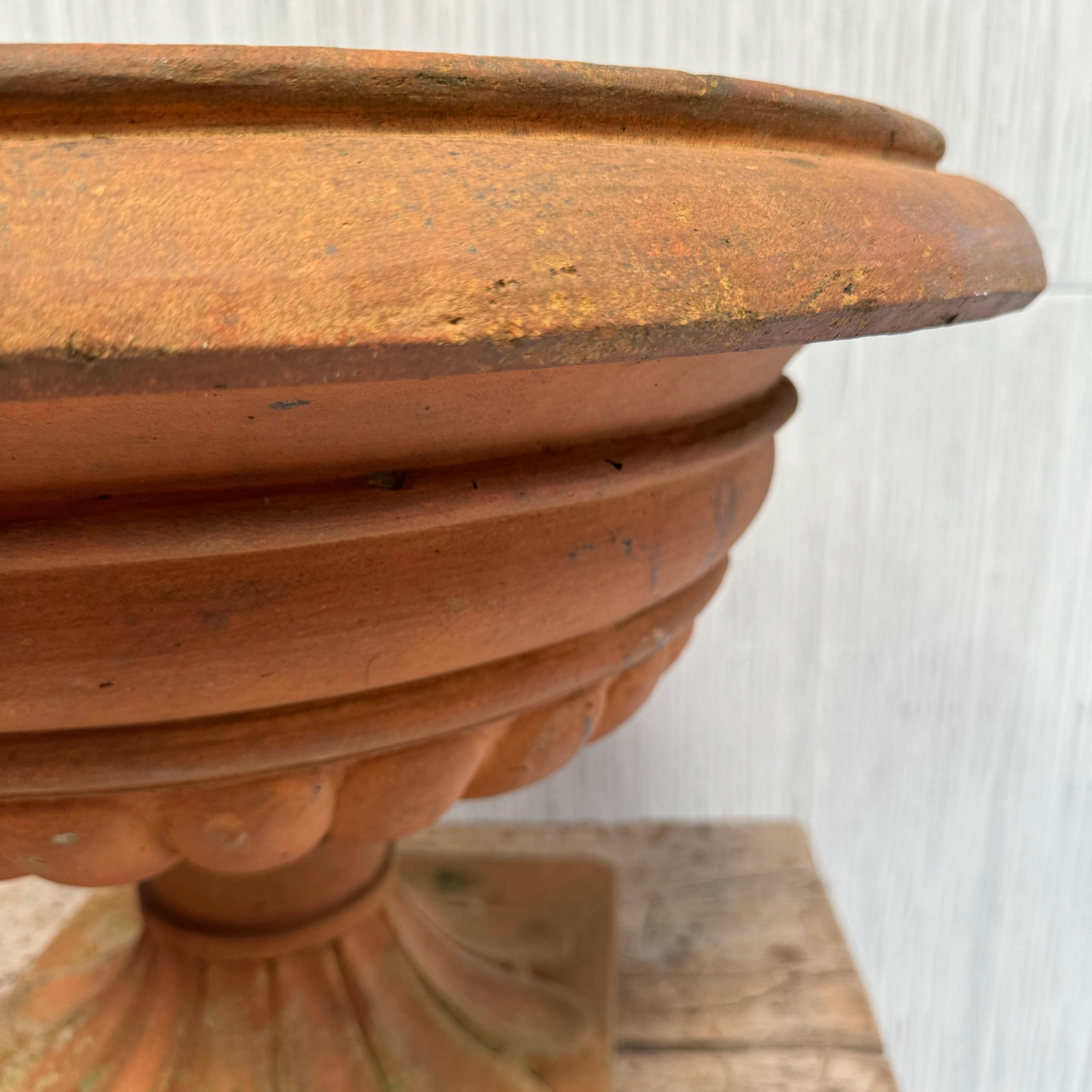 Urne anglaise en terre cuite Bon état - En vente à Haywards Heath, GB