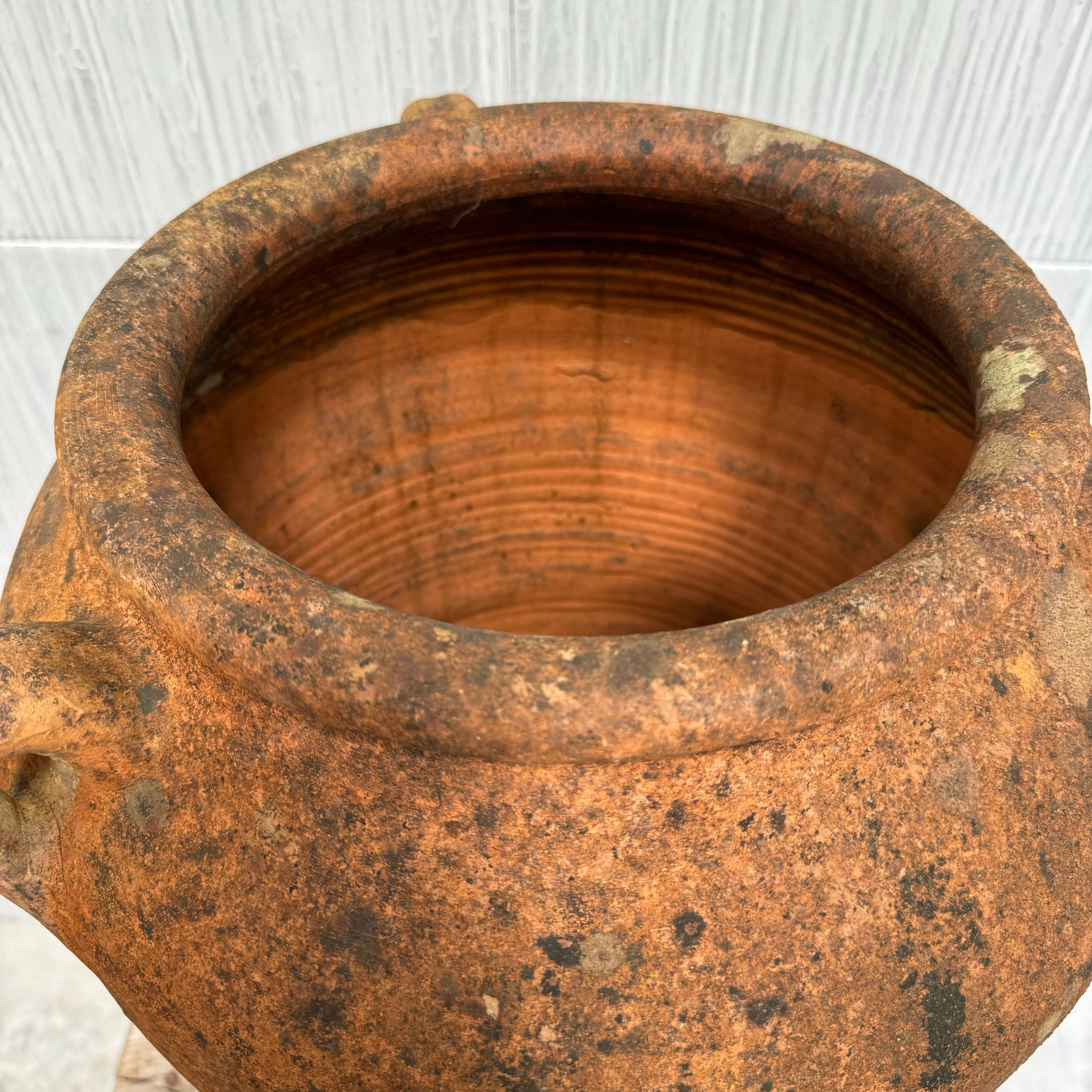 Urne anglaise en terre cuite - Pot à olive grec de style Bon état - En vente à Haywards Heath, GB