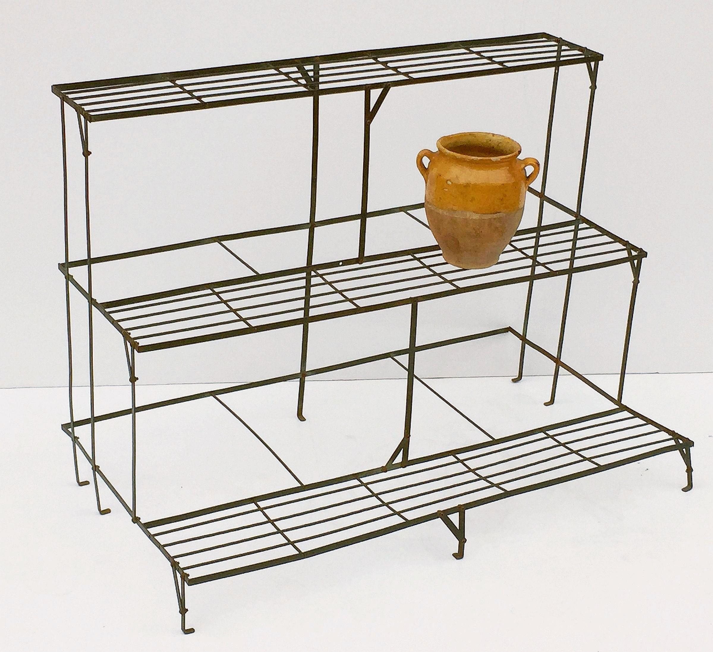 A fine English three-tiered rectangular plant stand of painted steel sturdy construction holds and displays a variety of planters and urns for the indoor or outdoor garden room, garden, or conservatory.

Measures: Height 29 1/2 inches
width 39 1/2