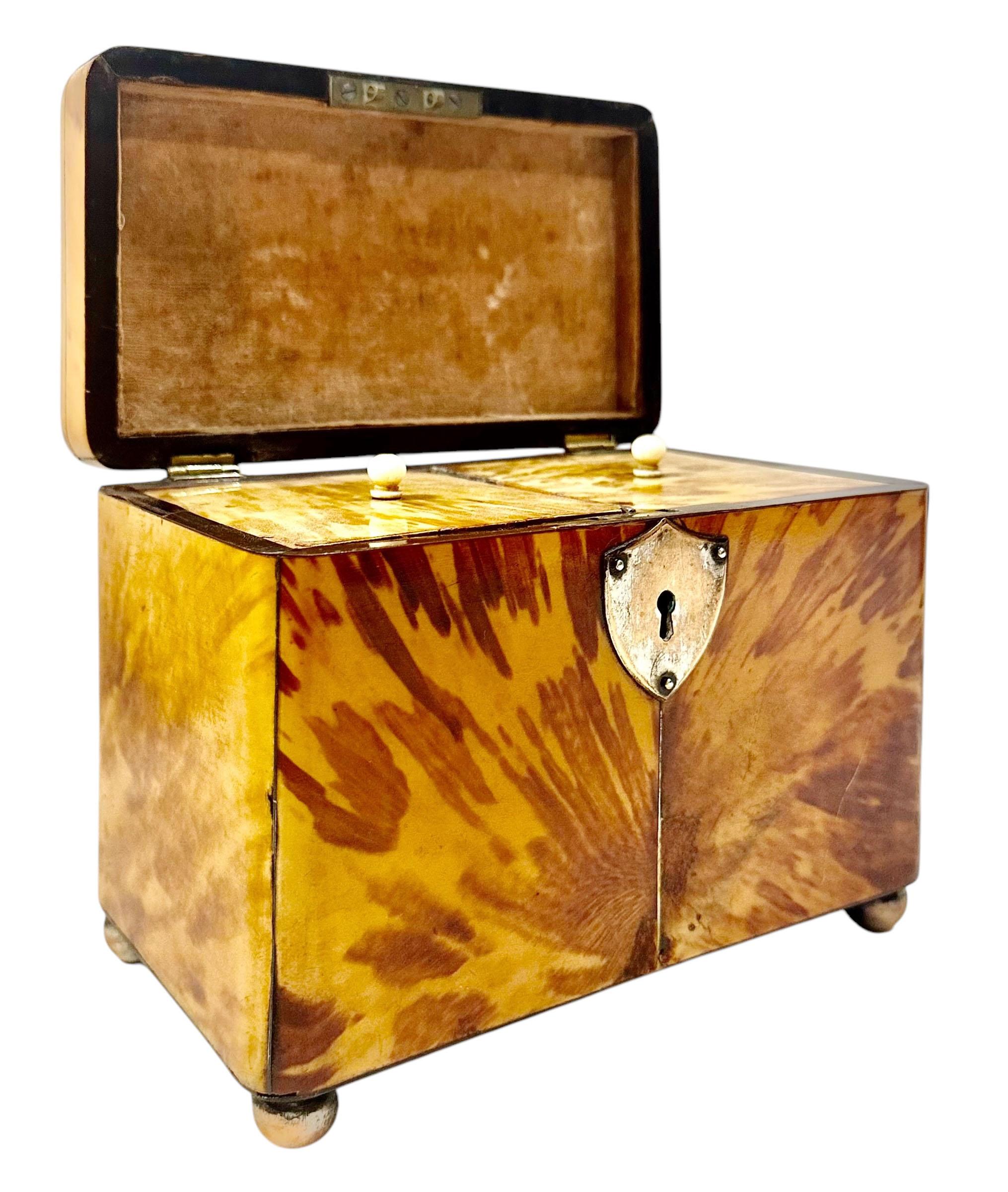 Caja de carey inglés principios del siglo XIX en venta
