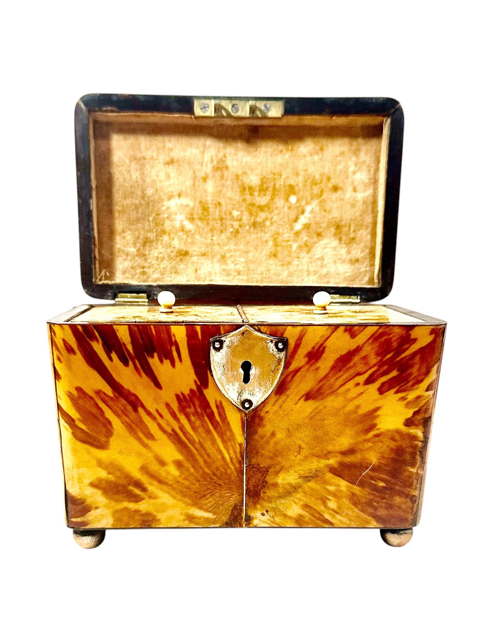 Caja de carey inglés Marfil en venta