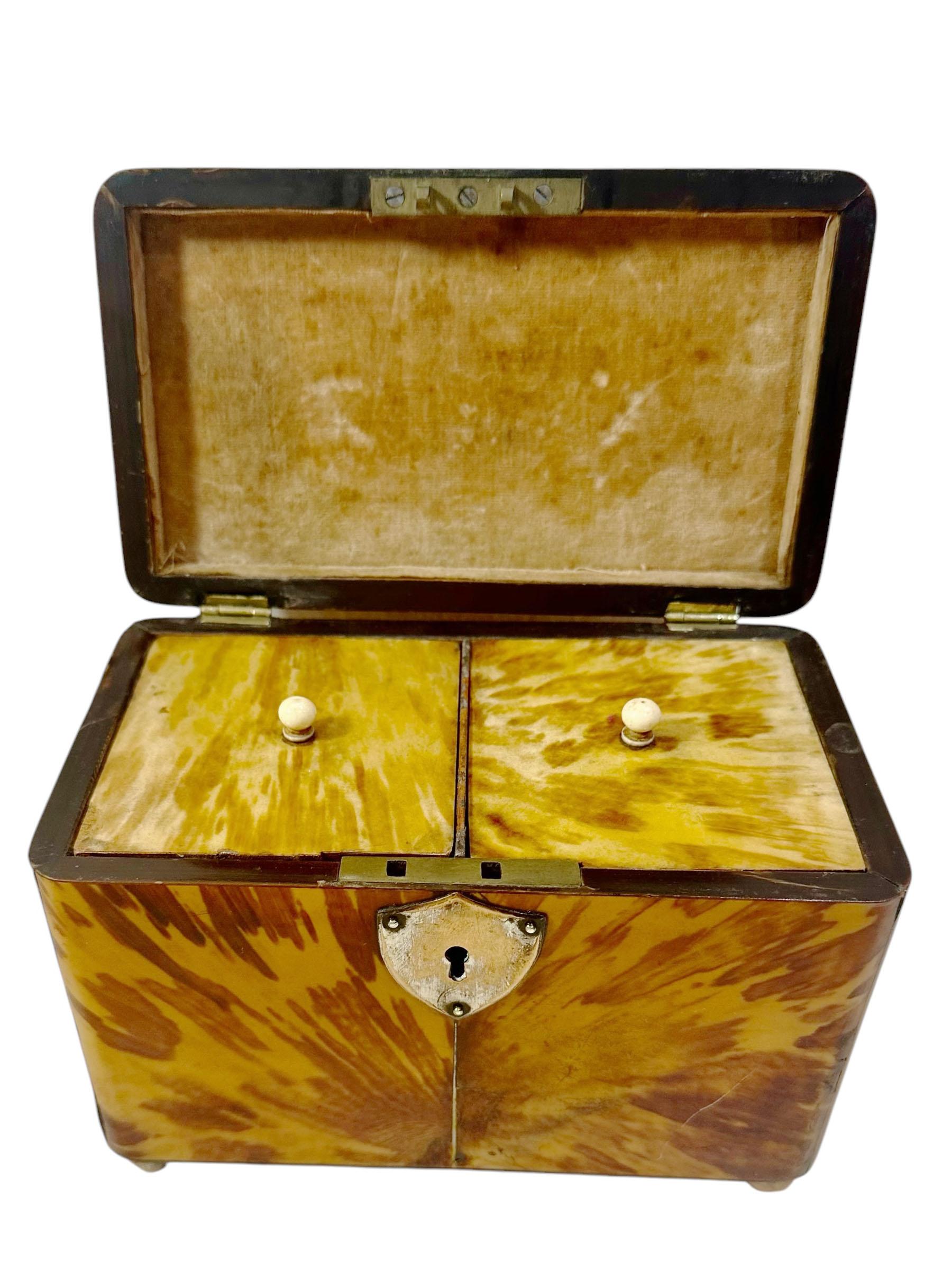 English Tortoiseshell Box For Sale 2