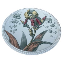 English Transferware Iris Plate Cauldon Circa 1904