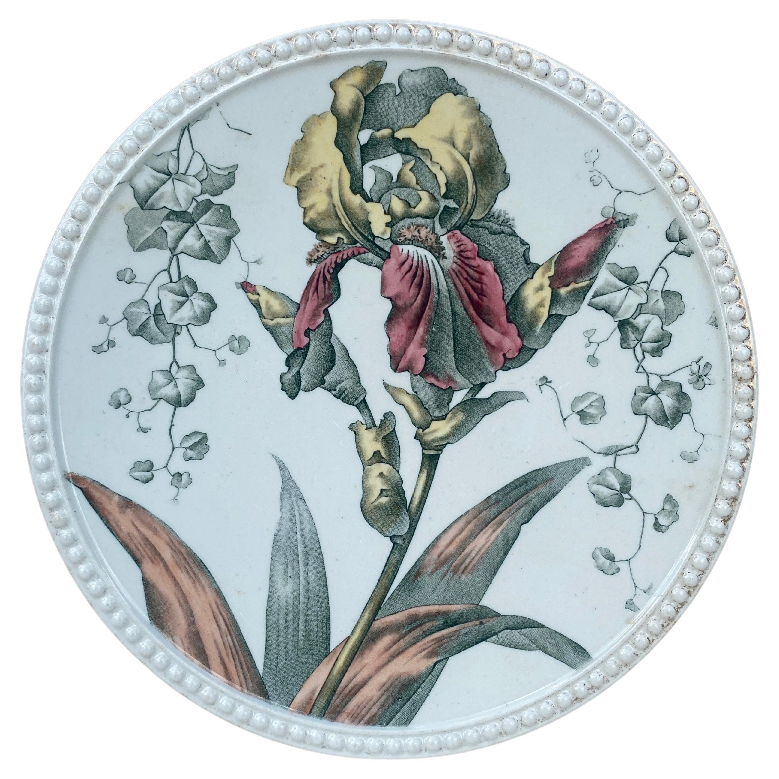 English Transferware Iris Plate Cauldon Circa 1904